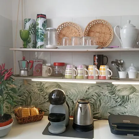 Casa Amari Zisa Hostel Palermo